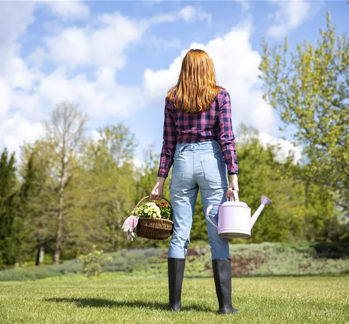 Alles auf Anfang – ein Blumenbeet anlegen