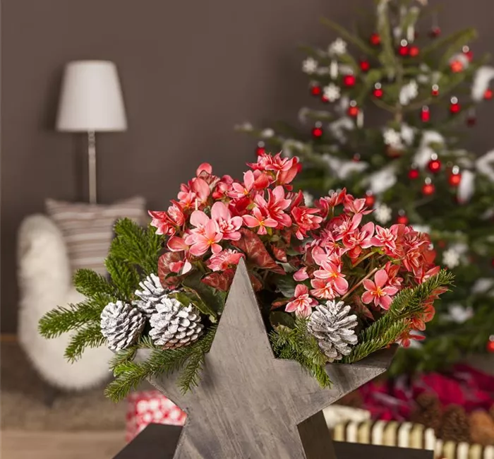 Advent - mit schönen Ideen durch die Vorweihnachtszeit 