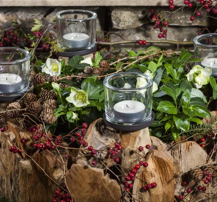 Adventskranz gestalten