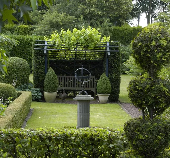 Auf die Form gekommen – Formgehölze im Garten
