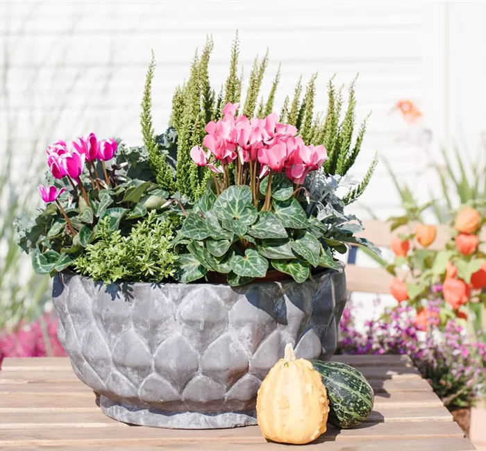 Aus alt mach neu: Blumenkübel nicht wegwerfen!