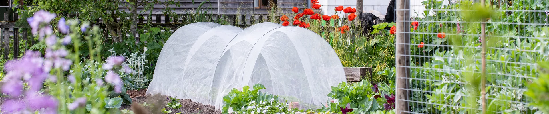 Gemüsebeet mit Pflanztunnel