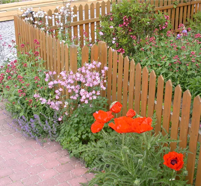 Schick eingerahmt - Die große Vielfalt der Gartenzäune