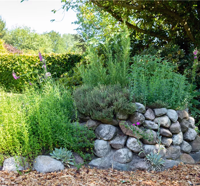 Gemüse und Kräuter kaufen ist immer eine gute Idee