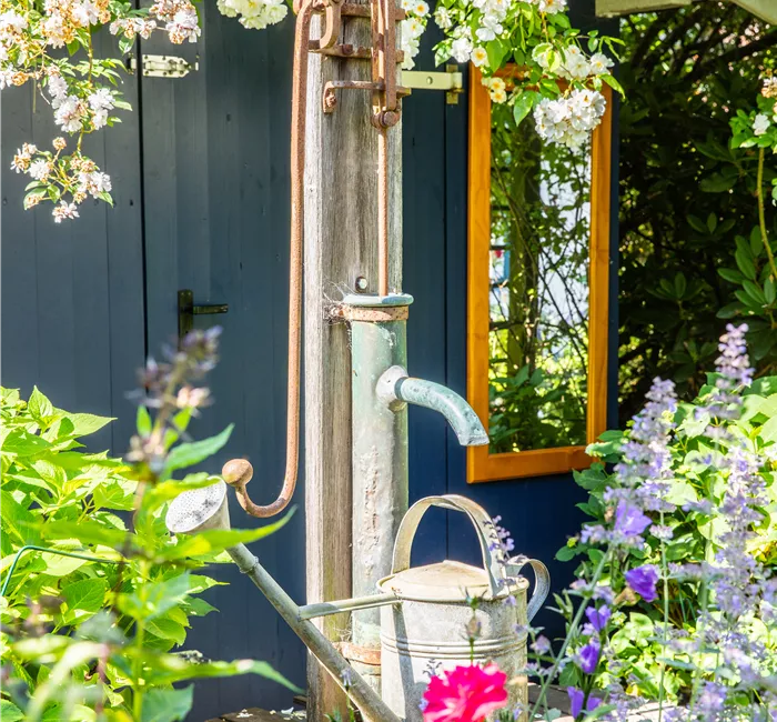 So einfach kann die Gartengestaltung mit Gartenpflanzen sein