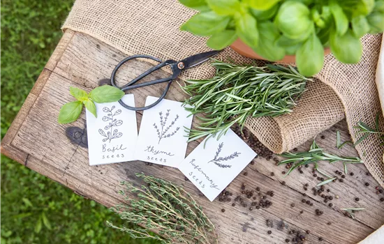 Ein Aussaatkalender sorgt für Übersicht bei der Gartenplanung