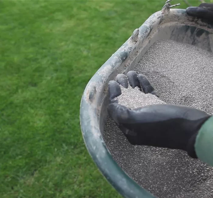 Rasen - Schnitt und Pflege