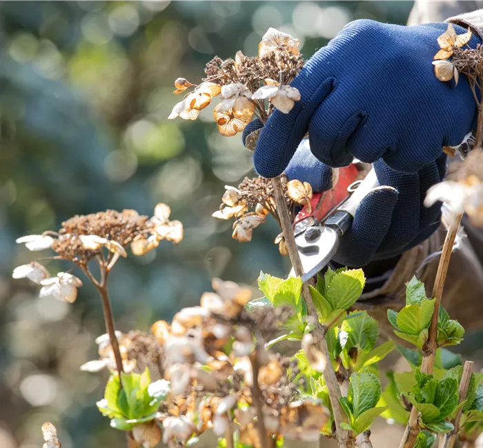 Frühjahrsputz im Garten – Das steht jetzt an