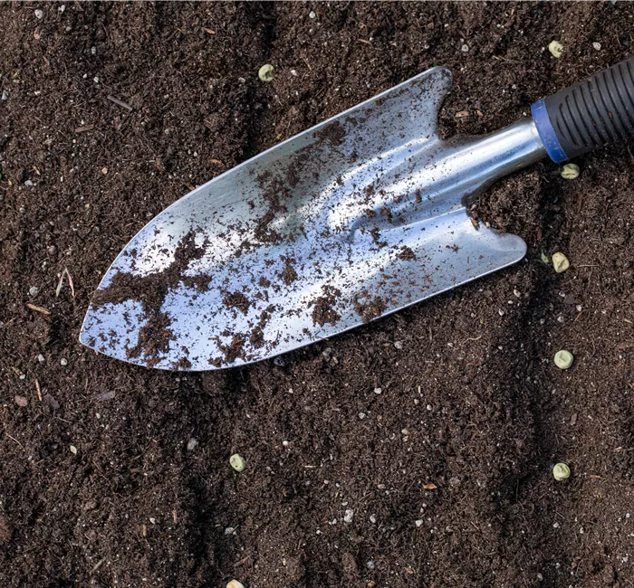 Mit dem passenden Saatgut für das Gewächshaus Gemüse anbauen