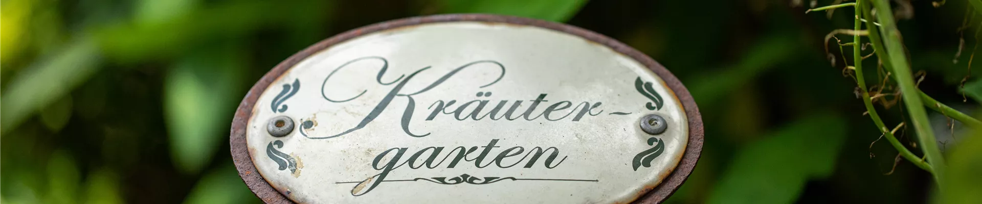 Schild - Kräutergarten