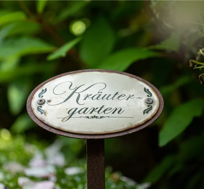 Ernte ohne Garten - Im duftenden Kräutergarten auf dem Balkon