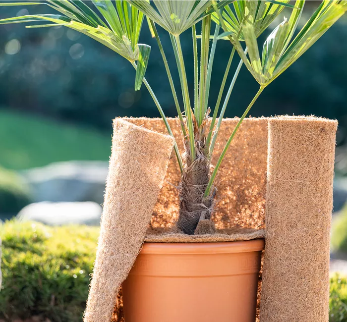 Den Garten winterfest machen