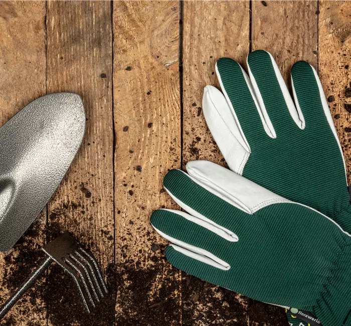 Rechtzeitig für das kommende Gartenjahr den Garten vorbereiten