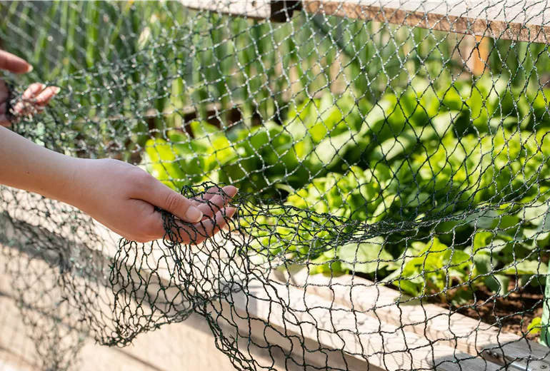 Pflanzenschutznetz