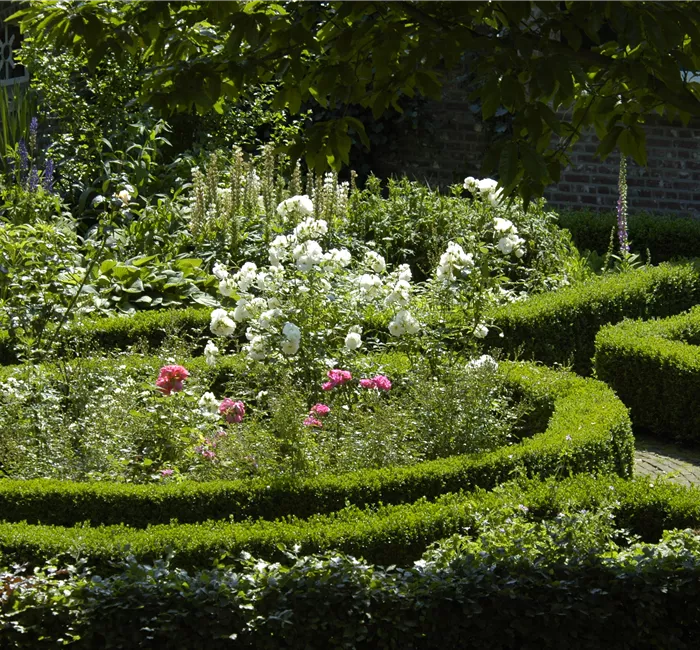 Einen Bauerngarten anlegen – Mehr als nur ein spießiger Nutzgarten