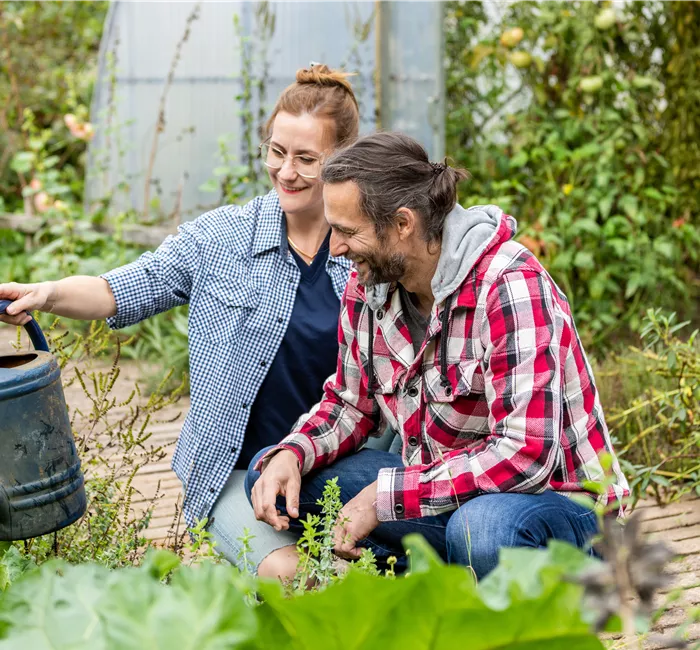 Der ultimative Gartenkalender für alle Gartenfreunde