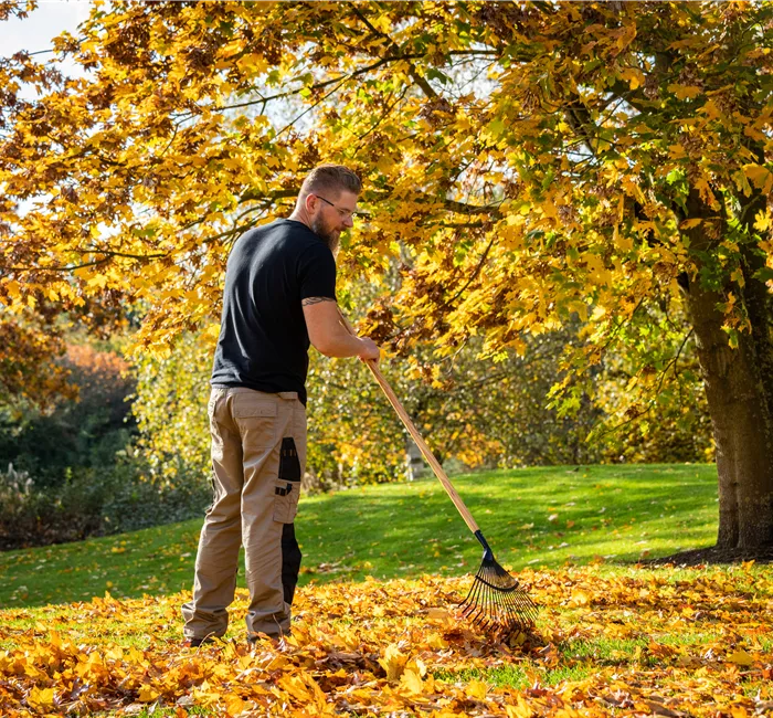 Gartenarbeit im September: Der Herbst beginnt mit bunten Farben