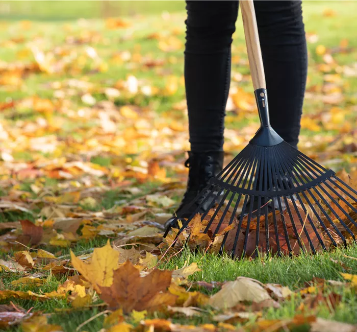 Gartenarbeit im Oktober - Letzte Vorbereitungen vor dem Winter