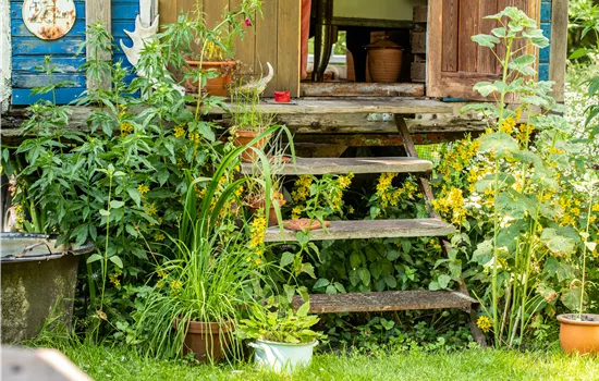 Nachhaltig gärtnern mit unseren 10 Tipps