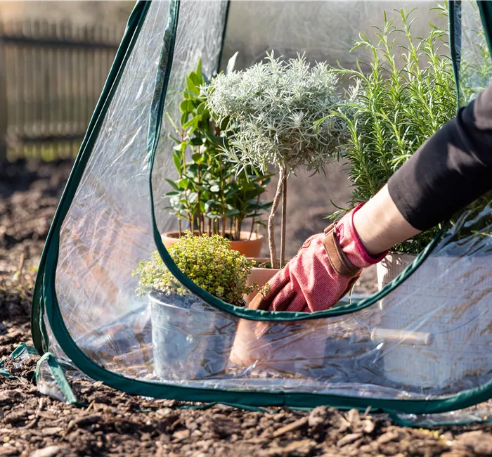 Gartenarbeit im November - Vorbereitung auf den Winter und das kommende Jahr