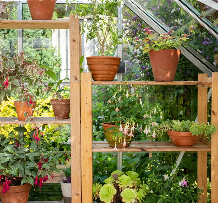 Balkongewächshaus - Gärtnern auf kleinstem Raum