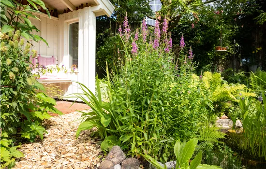 Permakultur im Garten – Nachhaltig und naturnah