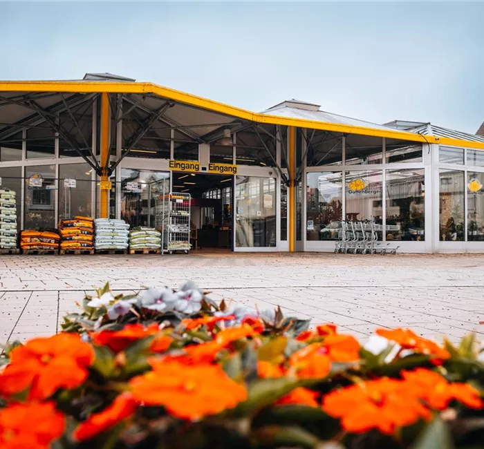 Umweltfreundliche Verpackungen