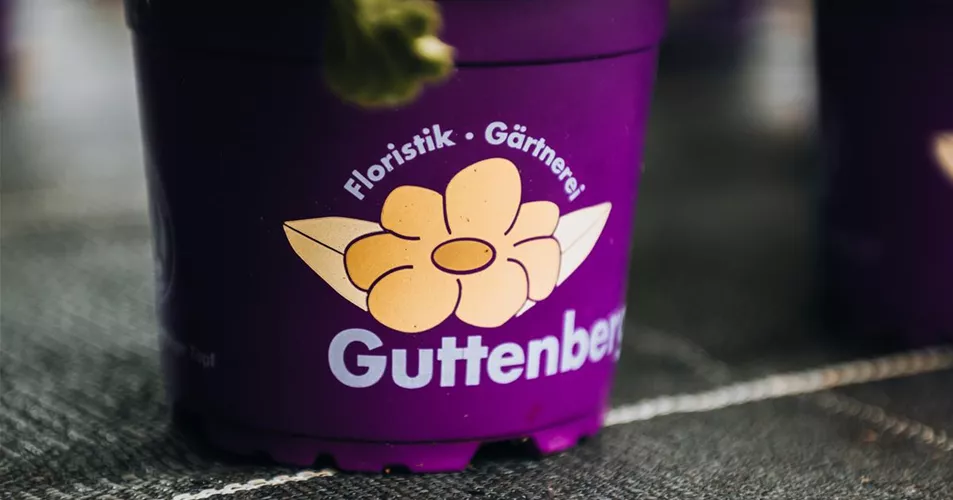 Gaertnerei_Guttenberger_0017.jpg