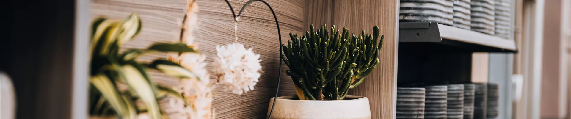 Gaertnerei_Guttenberger_0022-0-0-7896-4441