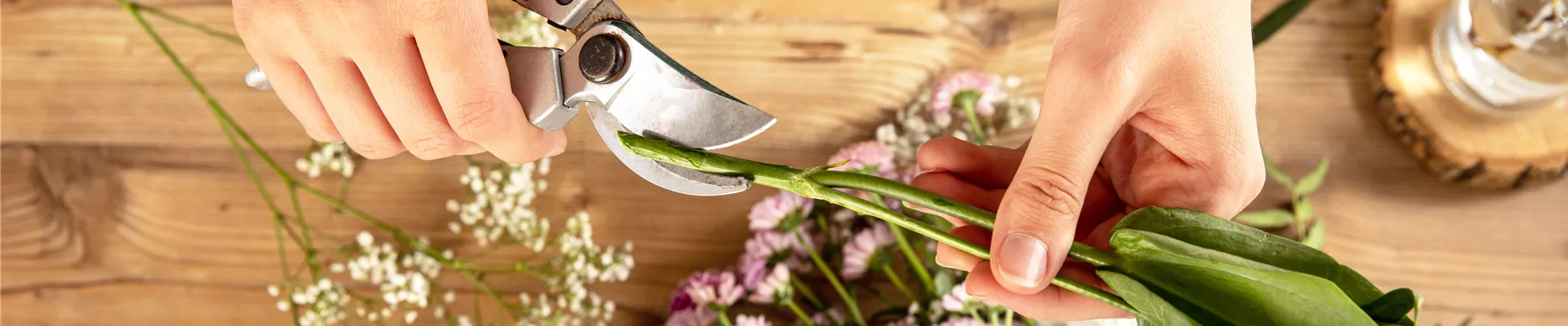 Schnittblumen kürzen