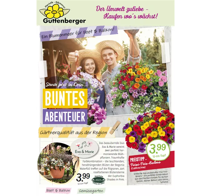Beilage - Ein Blumenmeer für Beet & Balkon!