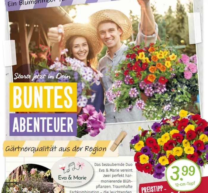 Beilage - Ein Blumenmeer für Beet & Balkon!
