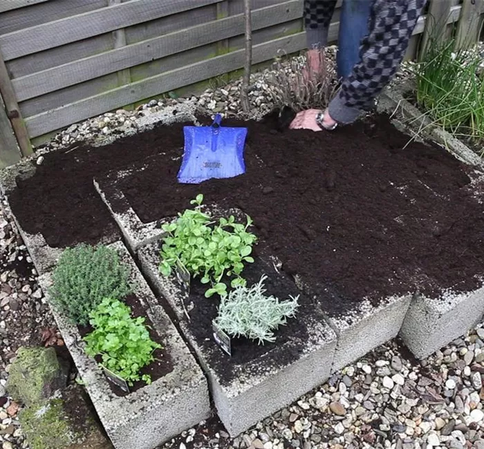 Kräuter - Einsetzen in Pflanzsteine