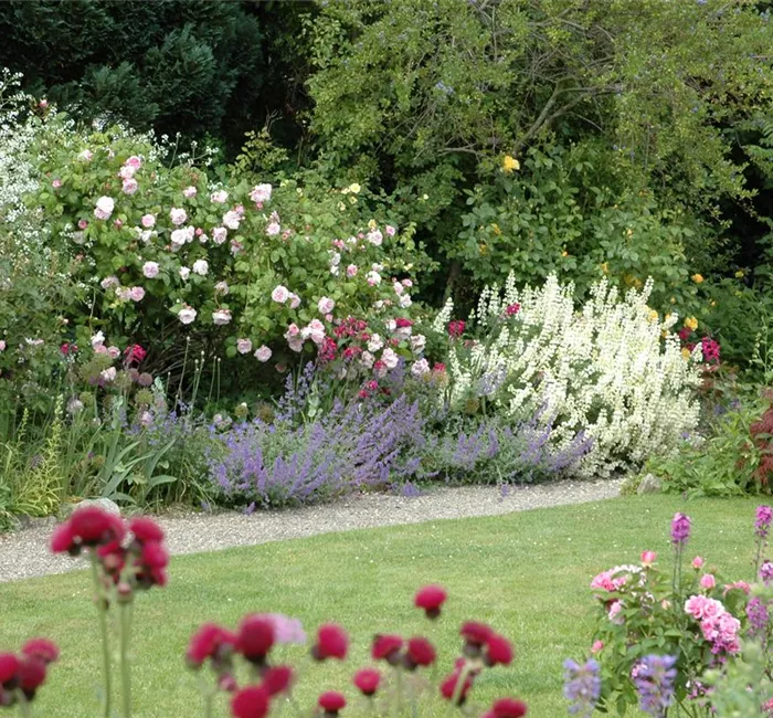 Aller Anfang ist (nicht) schwer - der erste eigene Garten