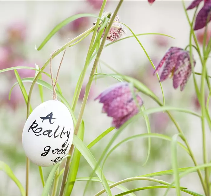 Der Garten für den Osterhasen – ein Frühlingsparadies!