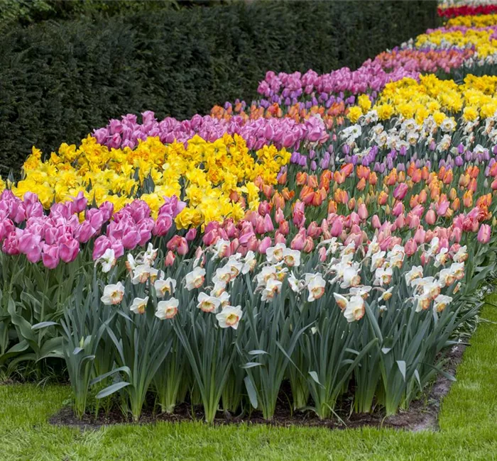 Das Blumenbeet pflegen: Gießen, düngen und schneiden