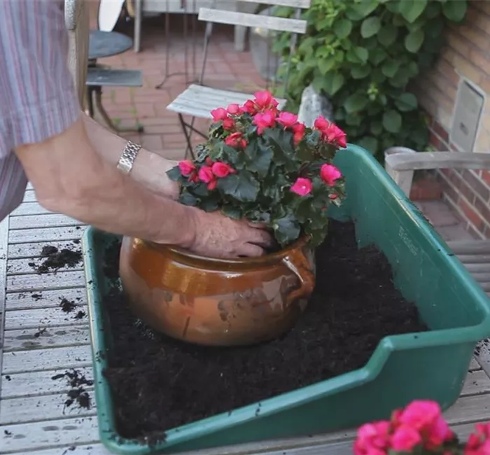 Blumenkübel - Bepflanzen mit mehreren Sommerblumen